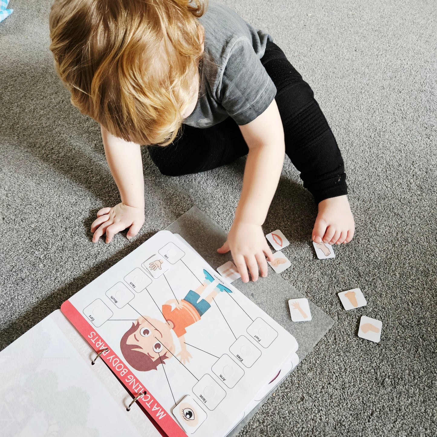 Stage 1 - Toddler Busy Book (2-3 years)