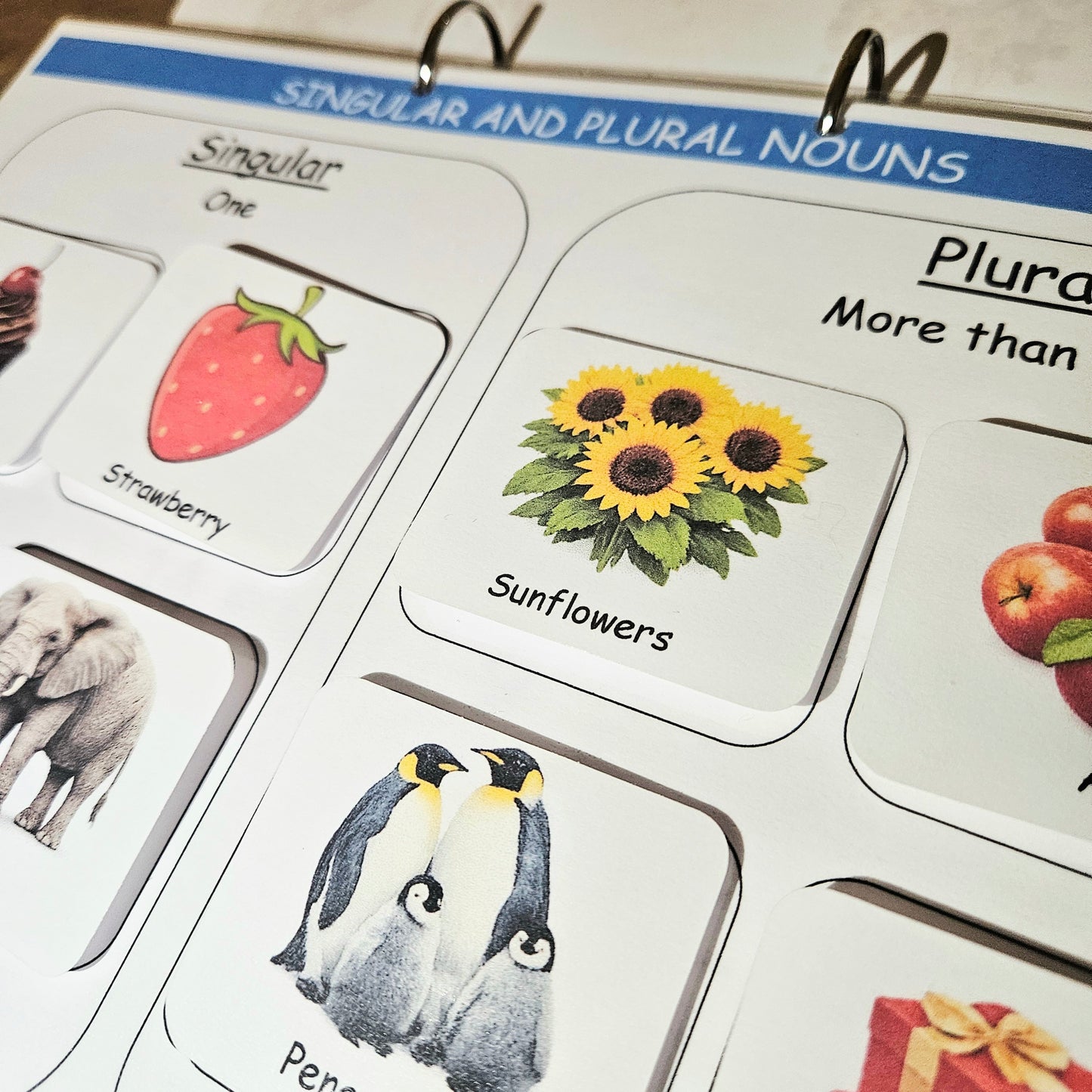 English & Maths Busy Book