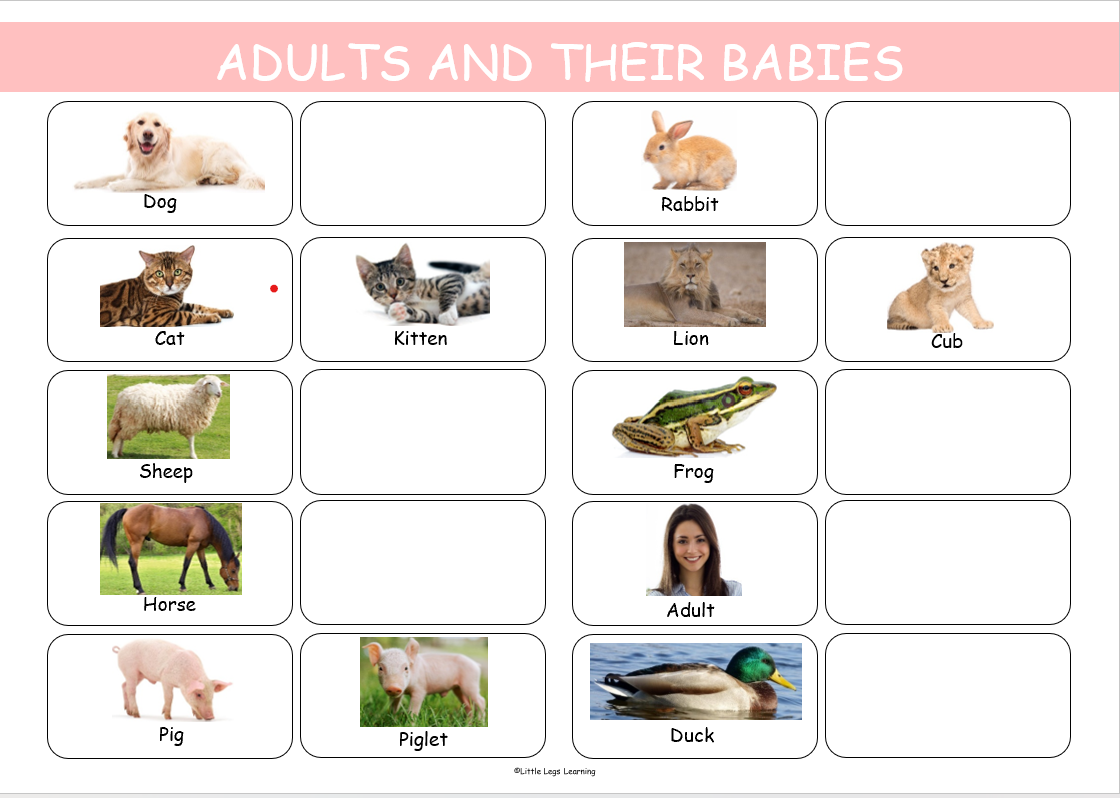 Matching Adults and Their Babies