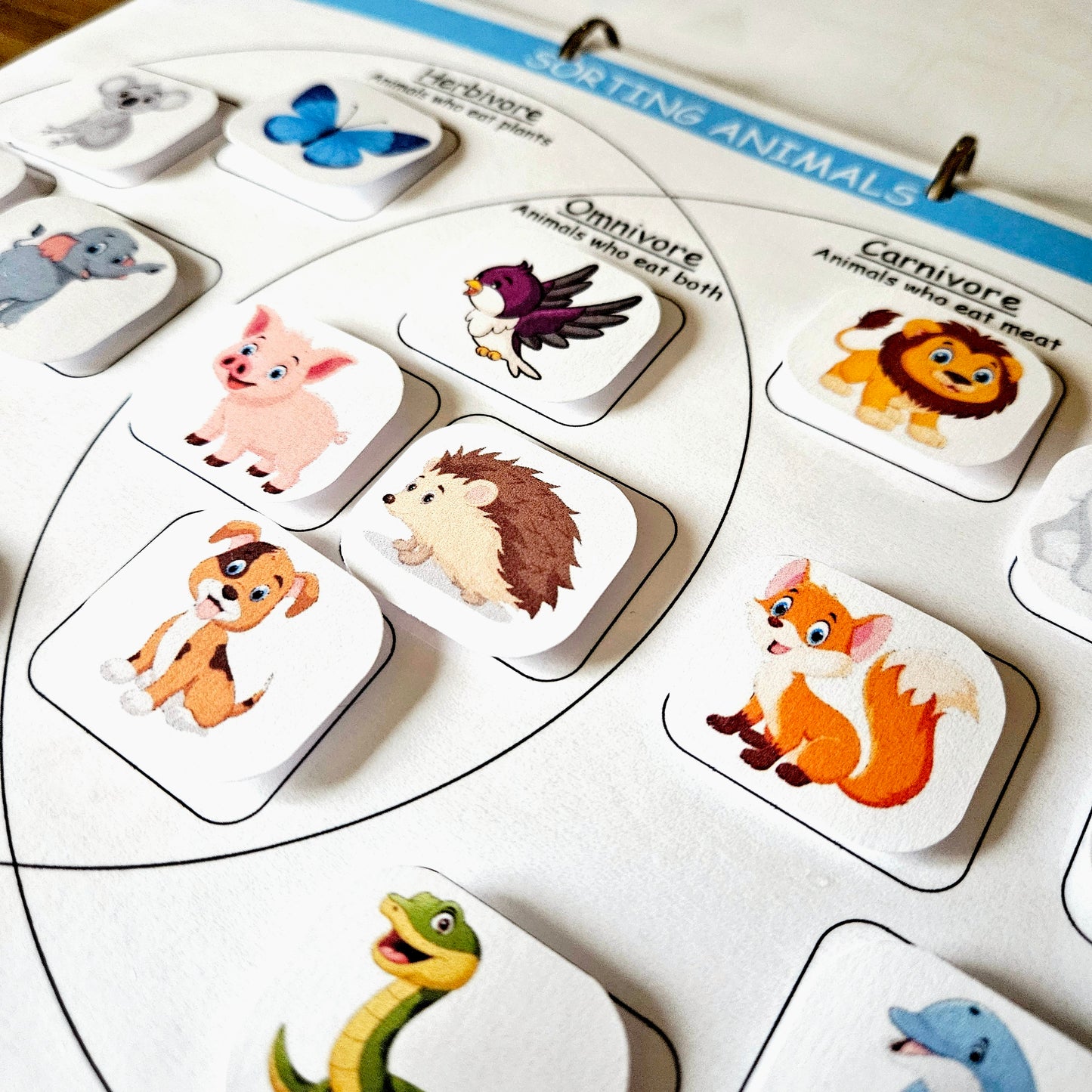 Stage 3 - Early Years Busy Book (4-6 years)