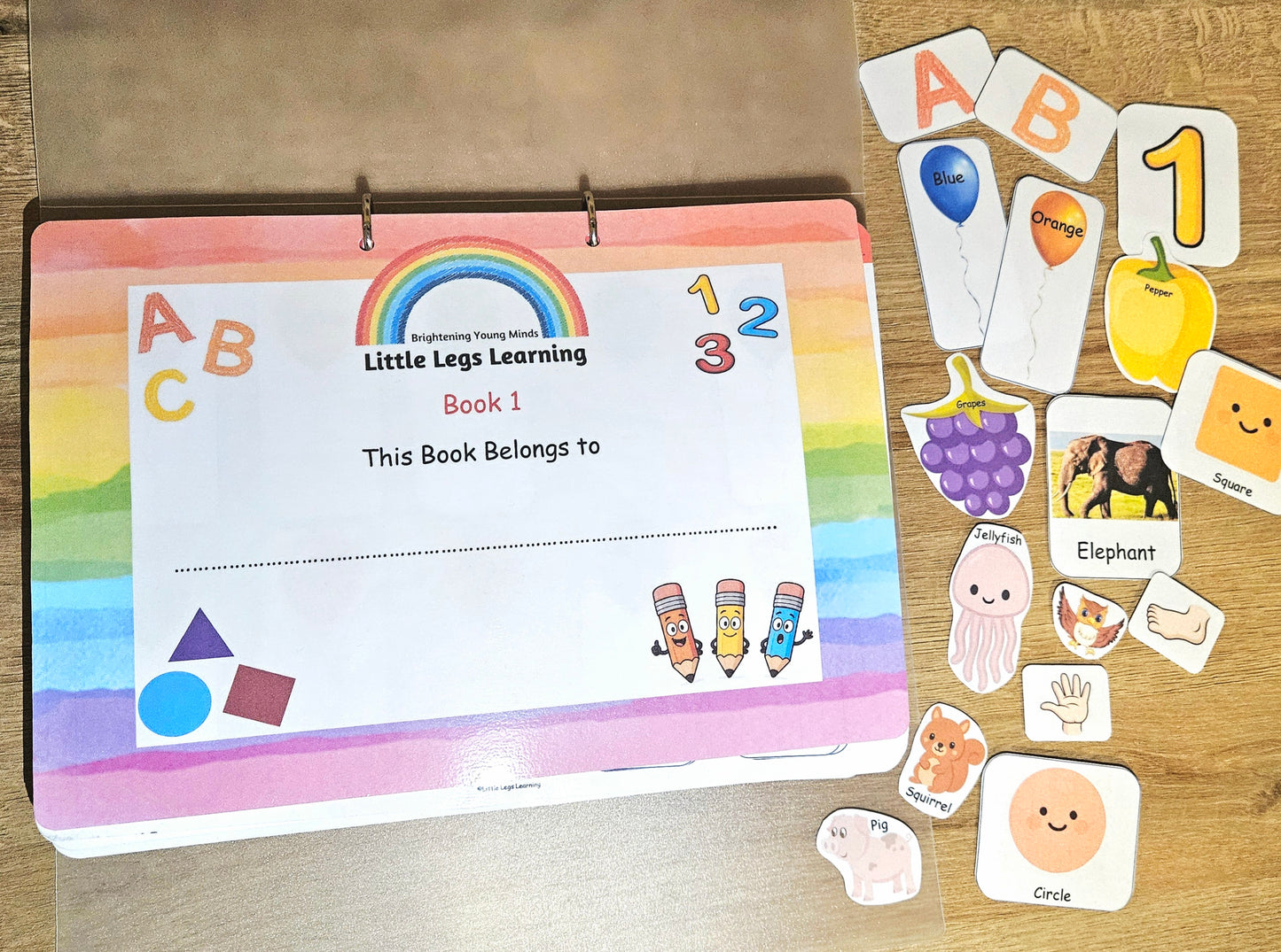 Stage 1 - Toddler Busy Book (2-3 years)