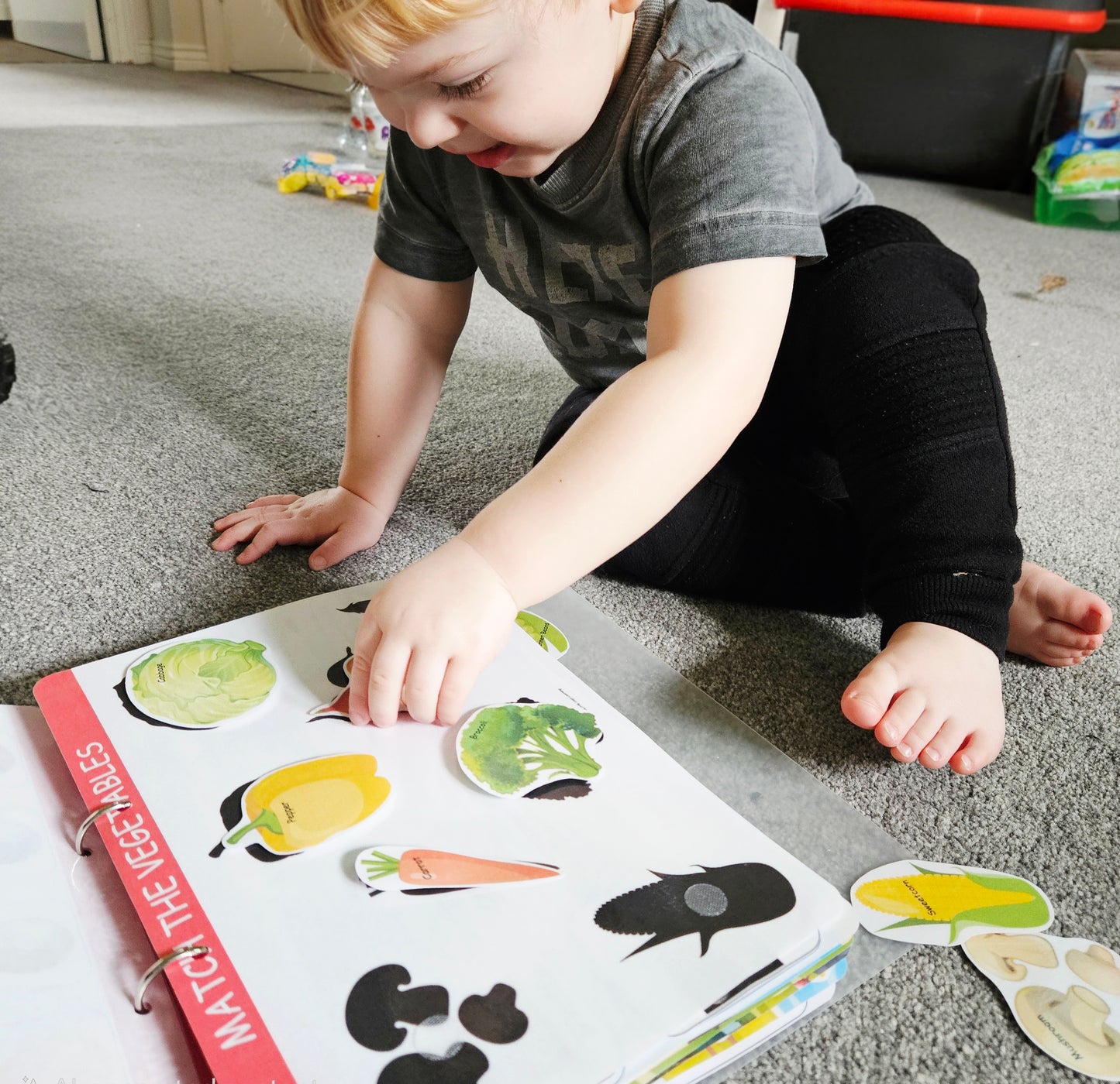 Stage 1 - Toddler Busy Book (2-3 years)