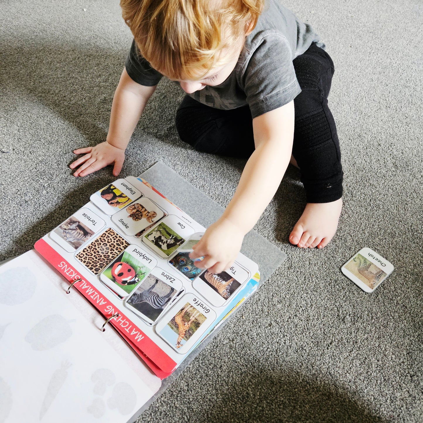 Stage 1 - Toddler Busy Book (2-3 years)