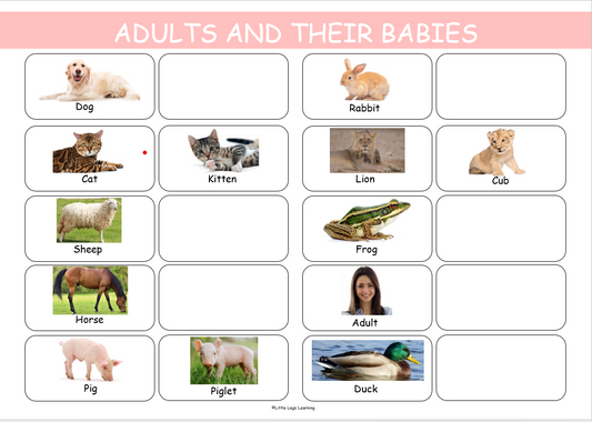 Matching Adults and Their Babies