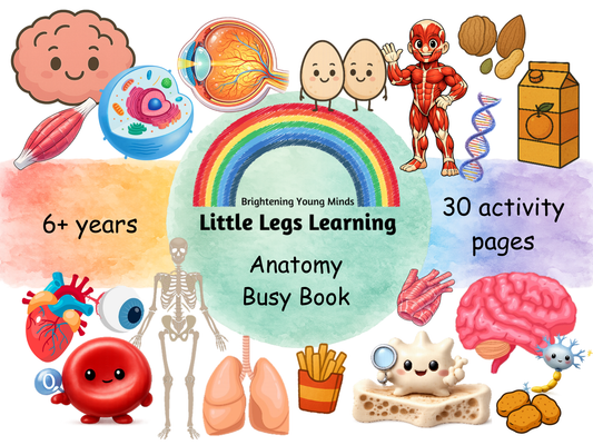 Anatomy Busy Book