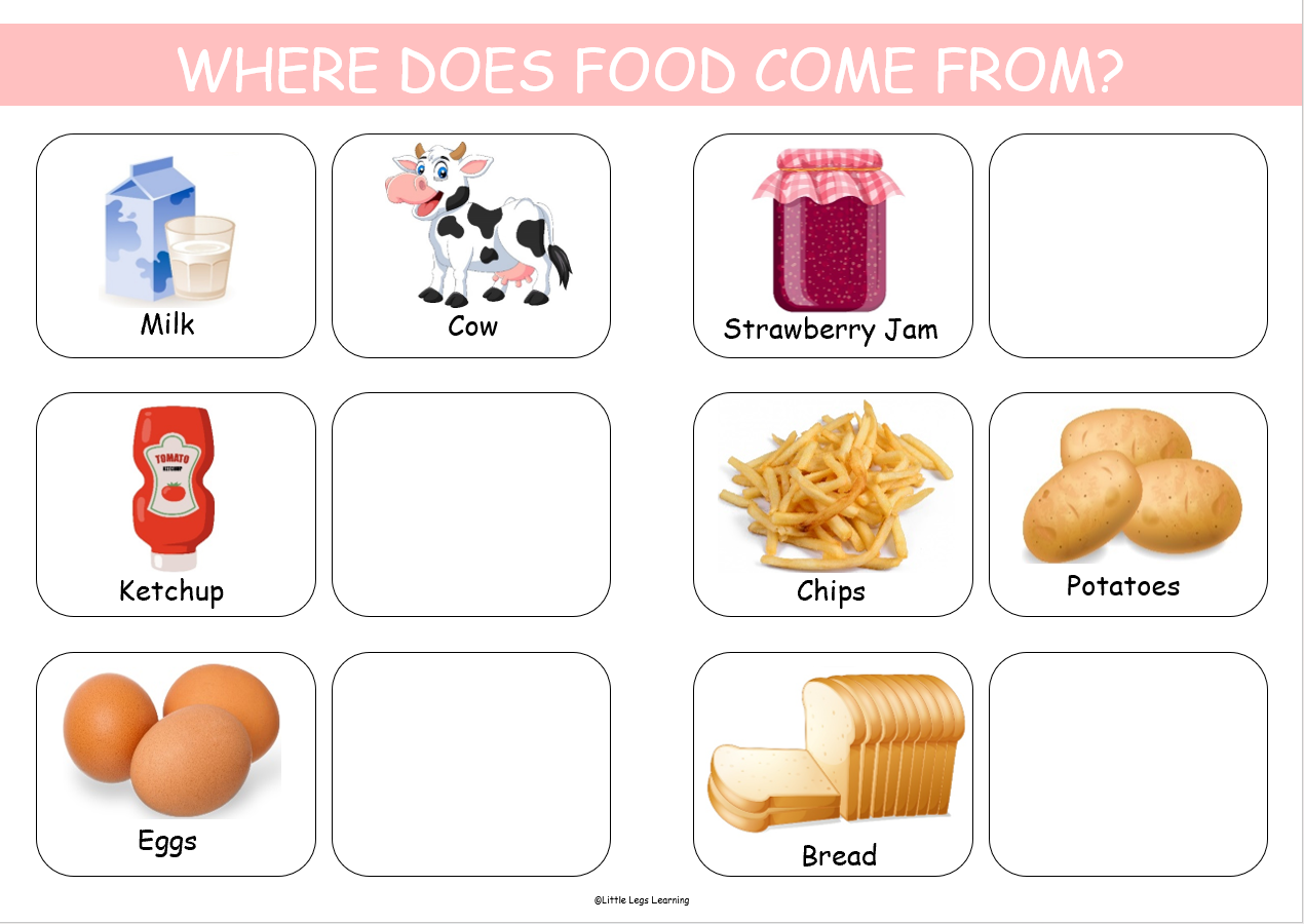 Where Does Food Come From?